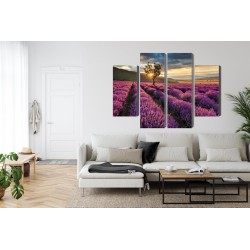 Mehrteiliges Bild Lavendelfeld Bei Sonnenuntergang 3D