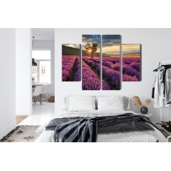 Mehrteiliges Bild Lavendelfeld Bei Sonnenuntergang 3D