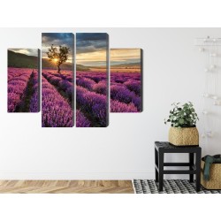 Mehrteiliges Bild Lavendelfeld Bei Sonnenuntergang 3D