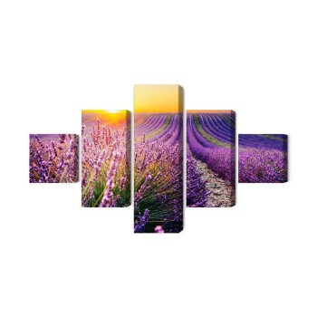 Mehrteiliges Bild Lavendelfeld Bei Sonnenuntergang 3D