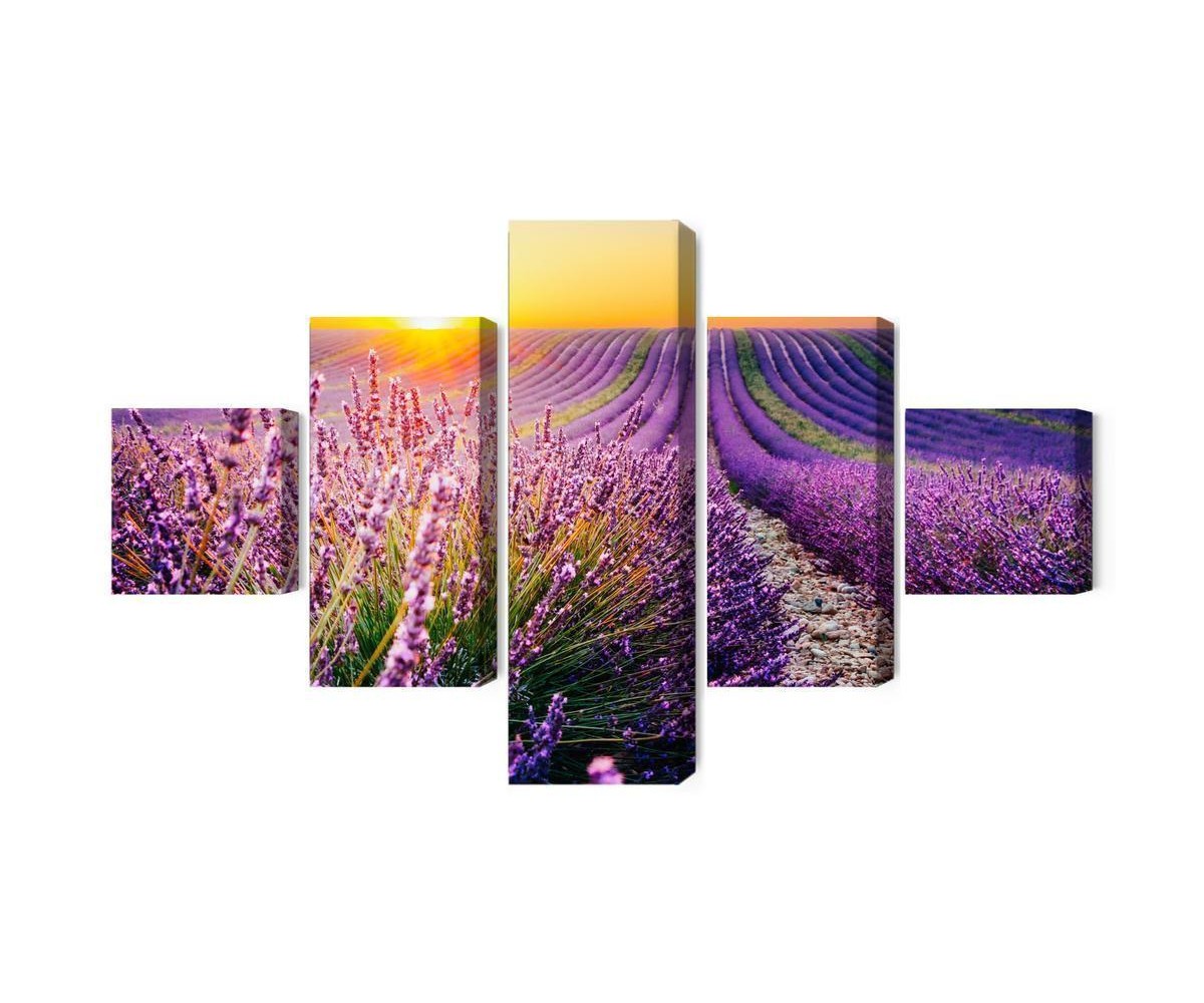 Mehrteiliges Bild Lavendelfeld Bei Sonnenuntergang 3D