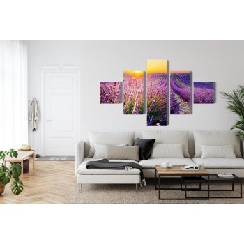 Mehrteiliges Bild Lavendelfeld Bei Sonnenuntergang 3D