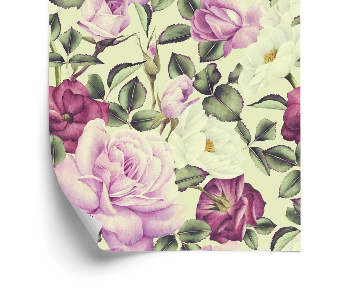 Tapete Schöne Blumen Rosen Aquarell