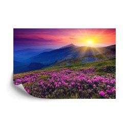 Fototapete Land Blumen