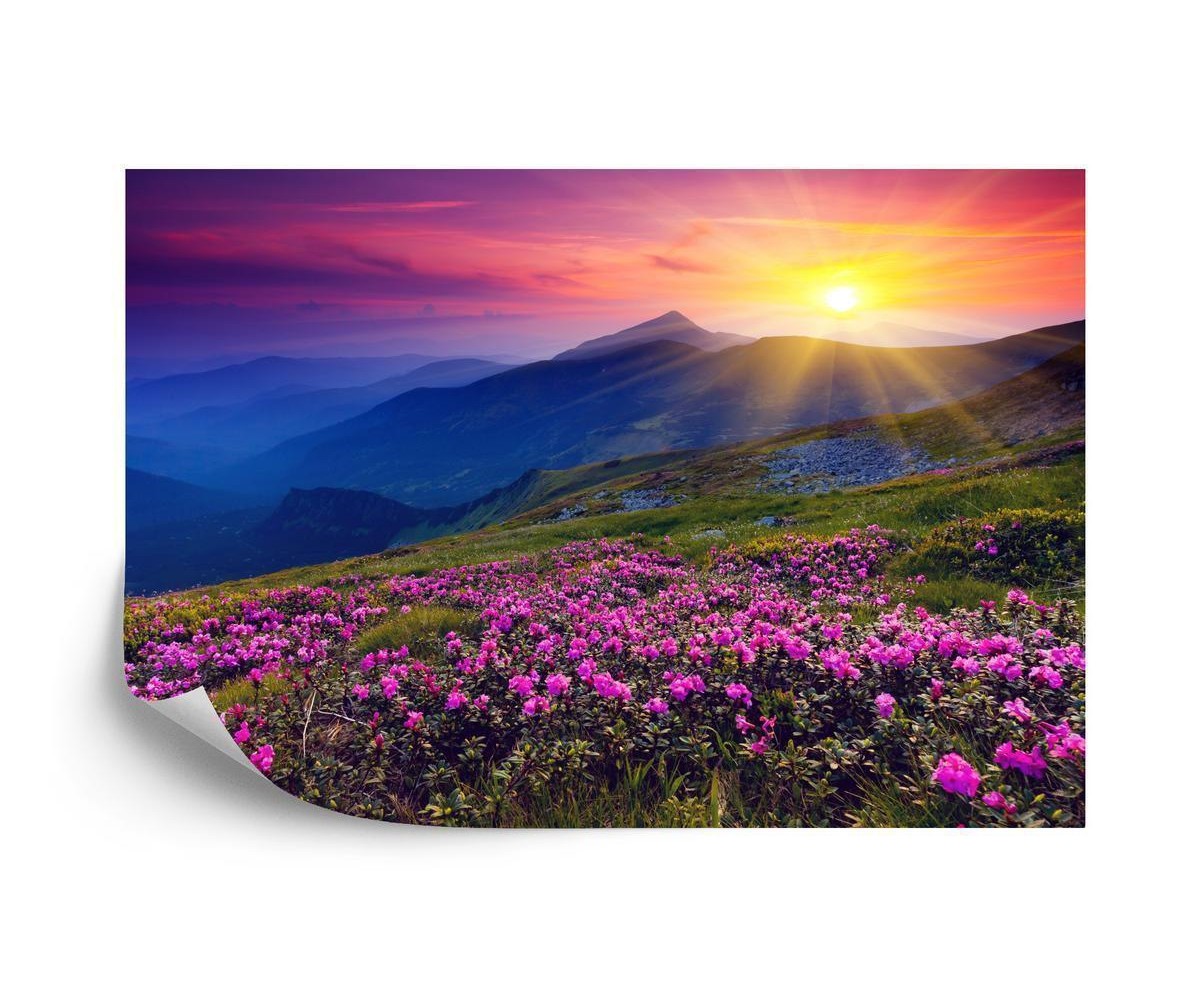 Fototapete Land Blumen