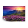 Fototapete Land Blumen