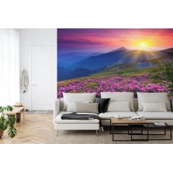 Fototapete Land Blumen