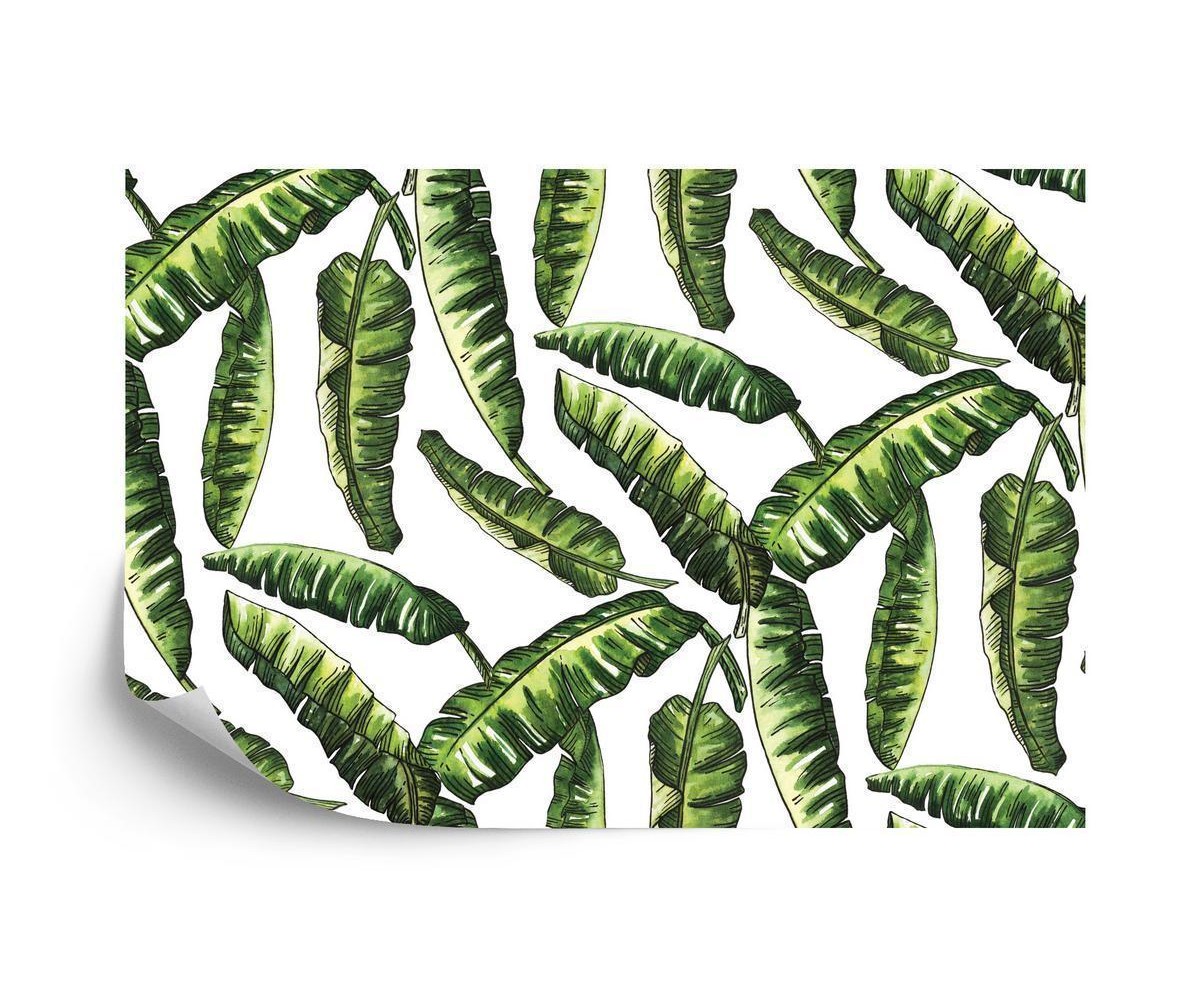 Fototapete Monstera Blätter