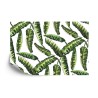 Fototapete Monstera Blätter