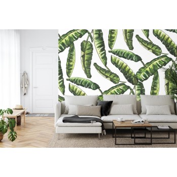 Fototapete Monstera Blätter