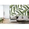Fototapete Monstera Blätter
