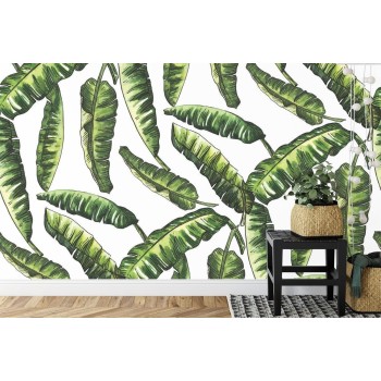 Fototapete Monstera Blätter