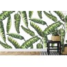 Fototapete Monstera Blätter