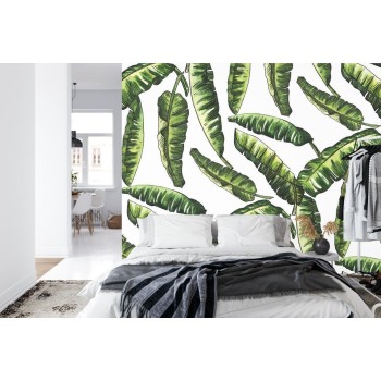 Fototapete Monstera Blätter