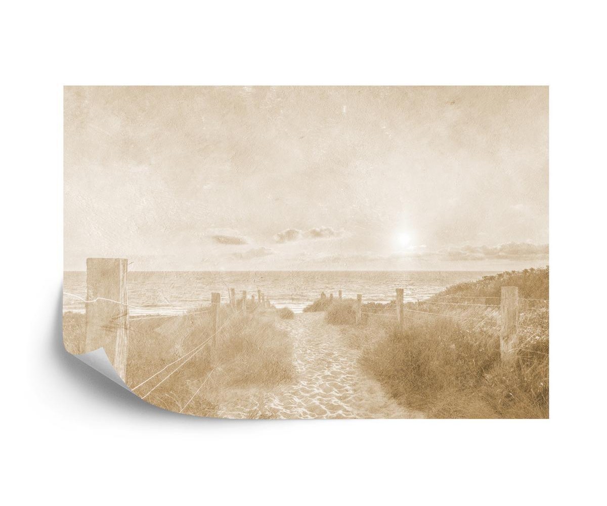 Fototapete Sommer-Sonnenuntergang Verblaßte Weinlese Sepia