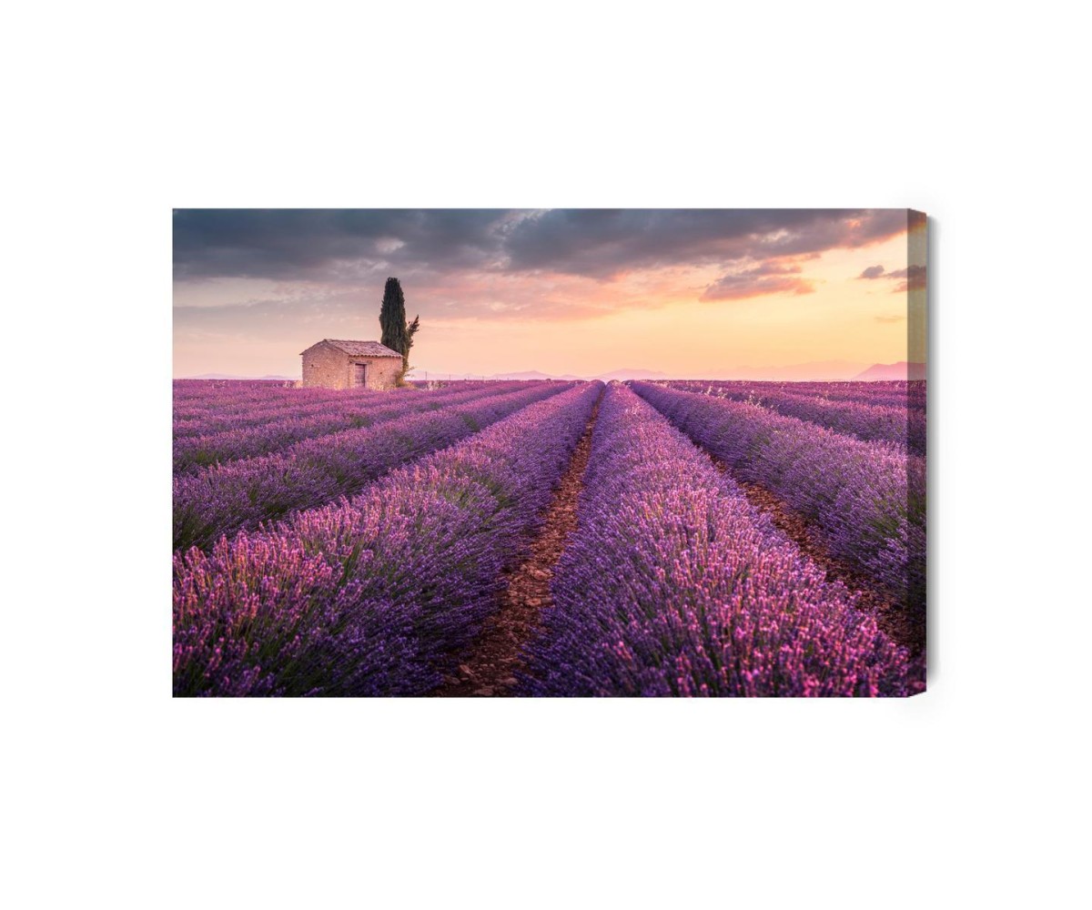 Leinwandbild Blühendes Lavendelfeld In Der Provence