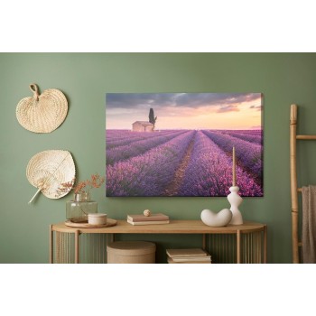 Leinwandbild Blühendes Lavendelfeld In Der Provence