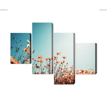 Mehrteiliges Bild Feldblumen In Der Sonne