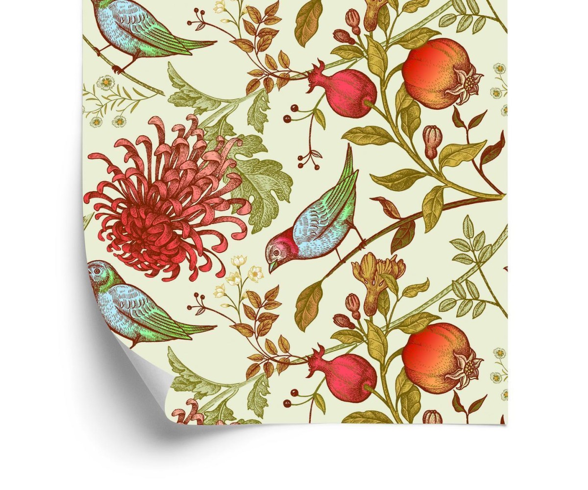 Tapete Schöne Bunte Vögel