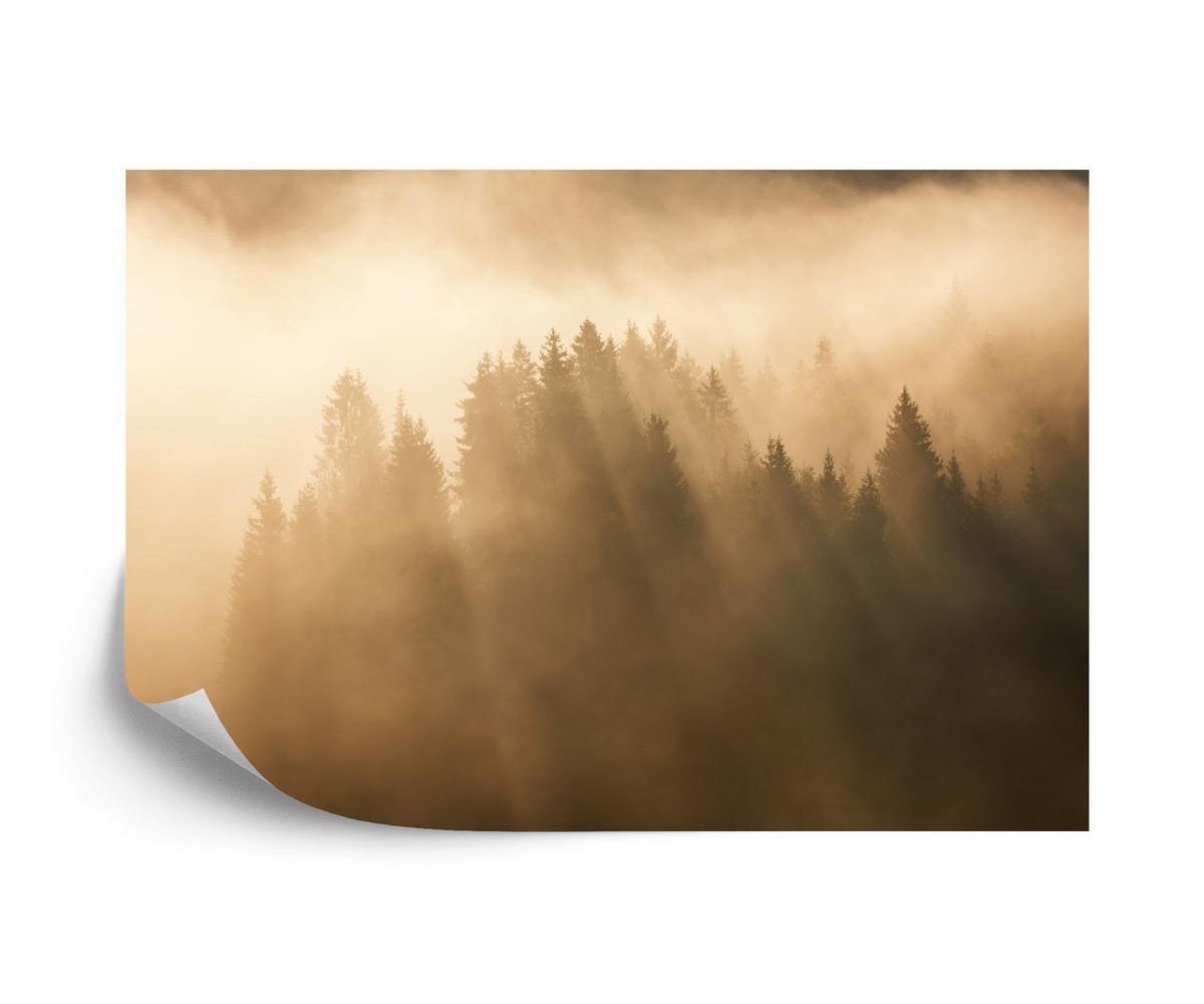 Fototapete Nebliger Wald
