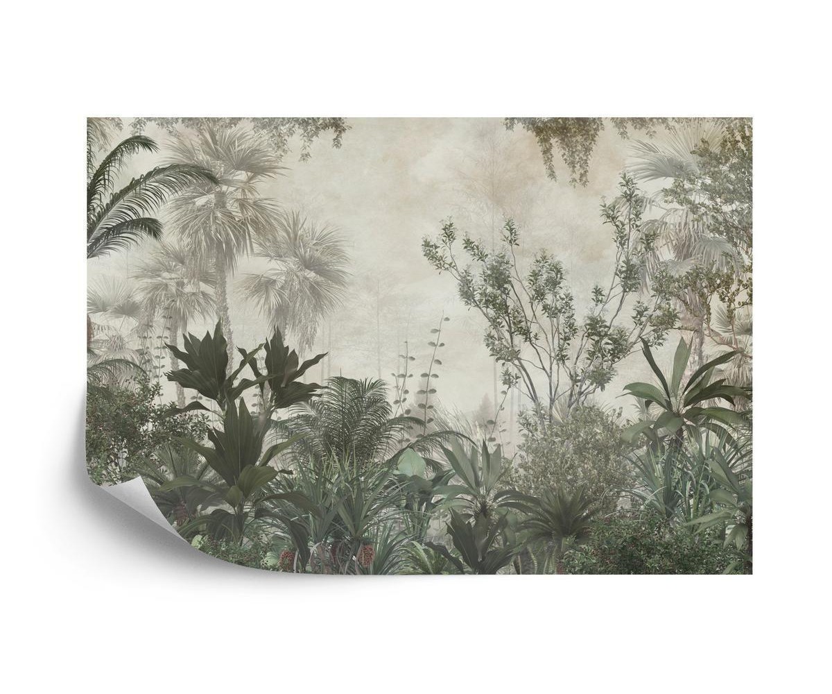 Fototapete Tropical Trees And Leaves Wallpaper Design In Foggy Forest - 3D