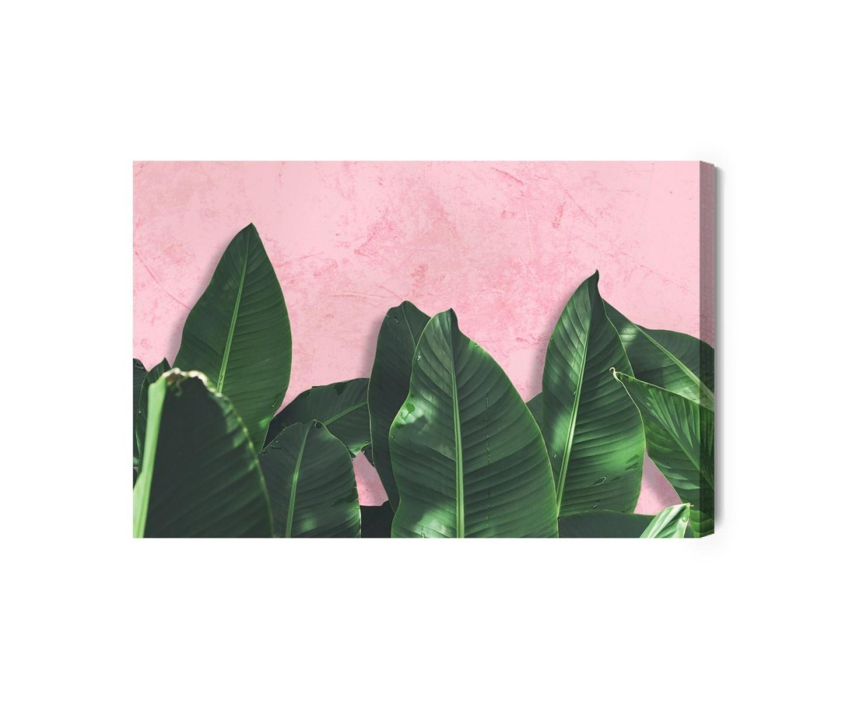 Leinwandbild Tropische Pflanzen Auf Einem Rosa Hintergrund