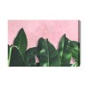 Leinwandbild Tropische Pflanzen Auf Einem Rosa Hintergrund