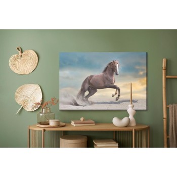Leinwandbild Majestätisches Pferd In Der Wüste