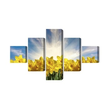 Mehrteiliges Bild 3D Narzissenfeld