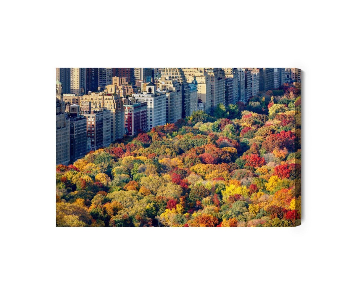 Leinwandbild Luftaufnahme Des Central Parks