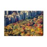 Leinwandbild Luftaufnahme Des Central Parks