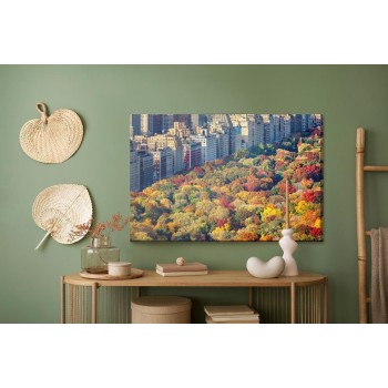 Leinwandbild Luftaufnahme Des Central Parks