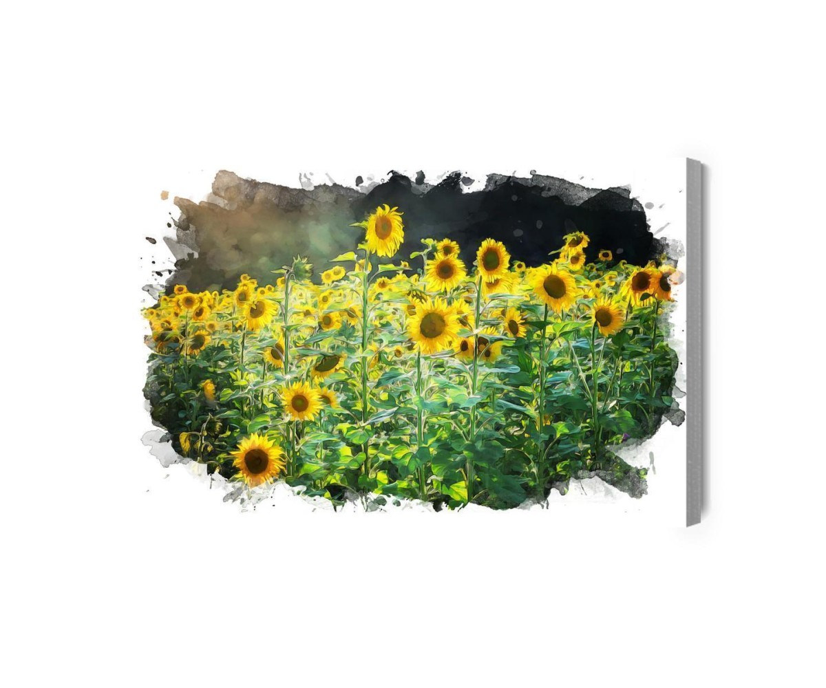 Leinwandbild Ein Sonnenblumenfeld In Künstlerischer Ausführung