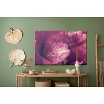 Leinwandbild Pfingsrosen Mit Tau
