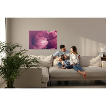 Leinwandbild Pfingsrosen Mit Tau