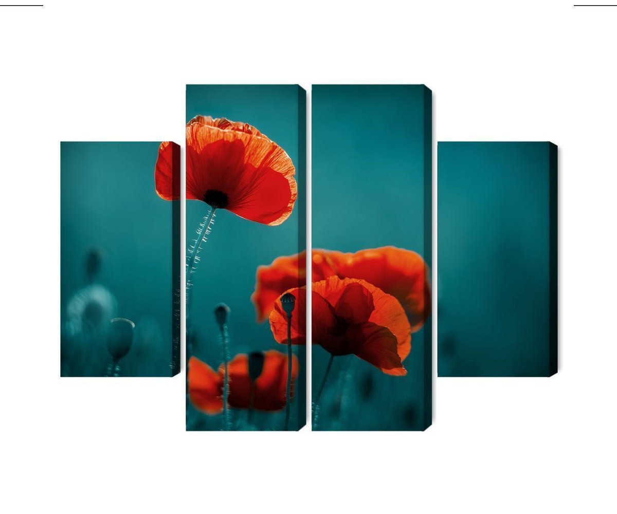 Mehrteiliges Bild Makro-Mohnblumen