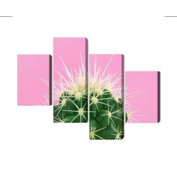 Mehrteiliges Bild Kaktus Auf Einem Rosa Hintergrund