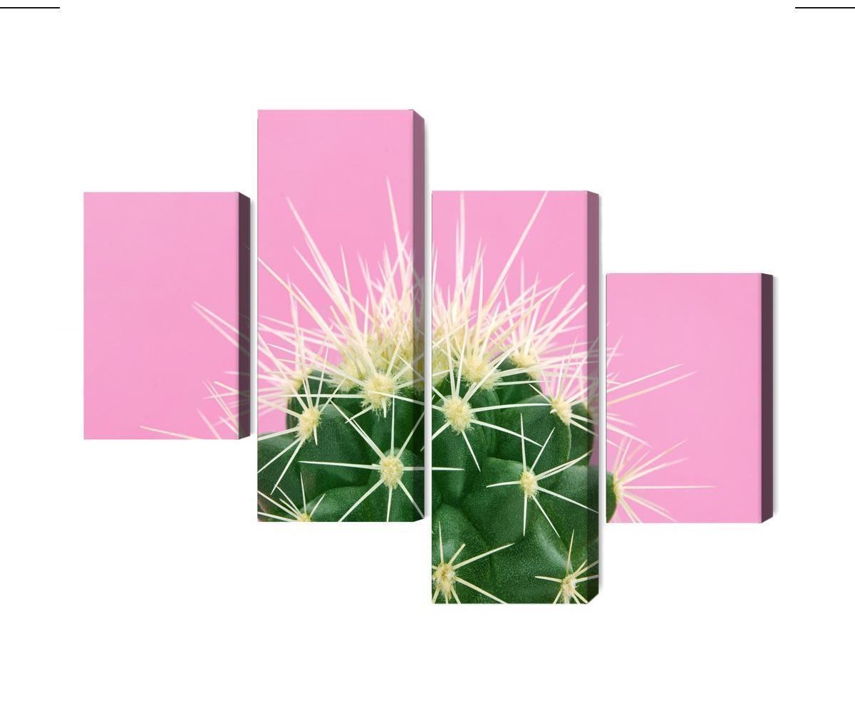 Mehrteiliges Bild Kaktus Auf Einem Rosa Hintergrund