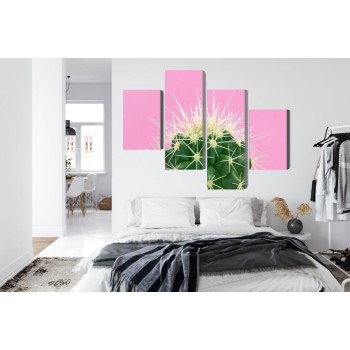 Mehrteiliges Bild Kaktus Auf Einem Rosa Hintergrund