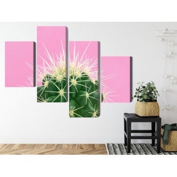 Mehrteiliges Bild Kaktus Auf Einem Rosa Hintergrund