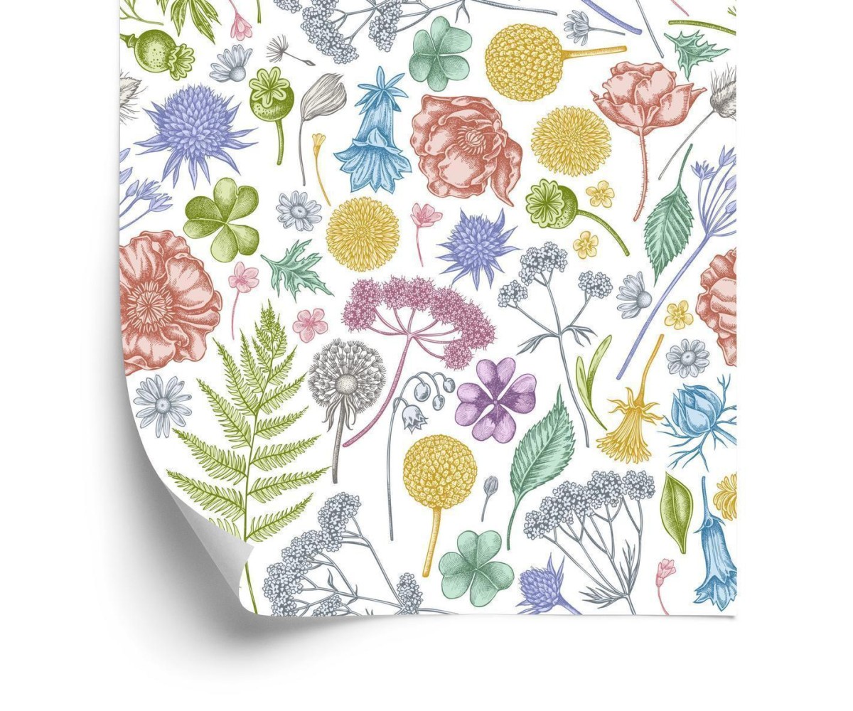 Tapete Feldblumen Mit Farn