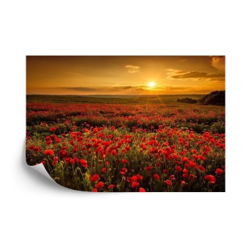 Fototapete Landschaft Blumen