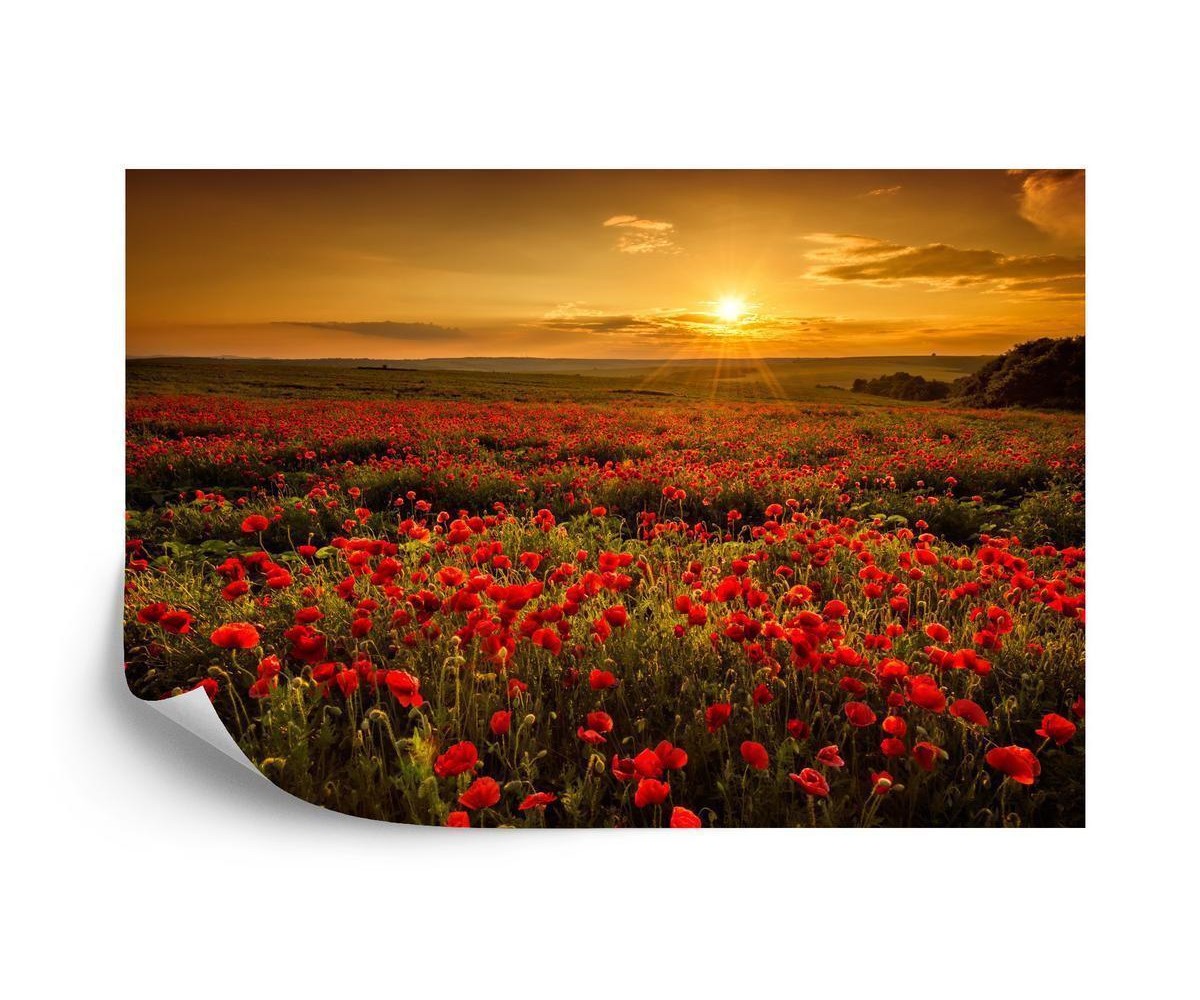Fototapete Landschaft Blumen