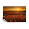 Fototapete Landschaft Blumen