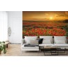 Fototapete Landschaft Blumen