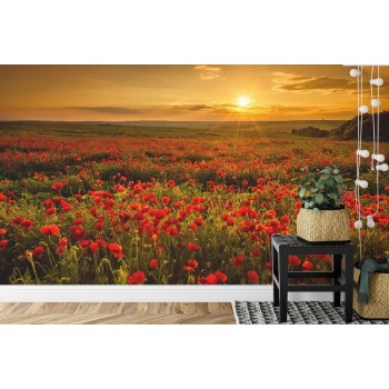Fototapete Landschaft Blumen
