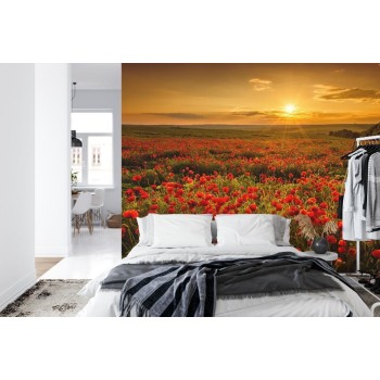 Fototapete Landschaft Blumen