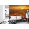 Fototapete Landschaft Blumen