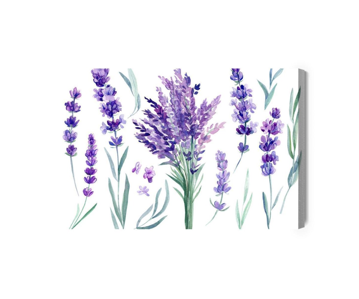 Leinwandbild Blühender Lavendel Gemalt Mit Aquarell