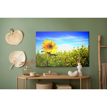 Leinwandbild Sonnenblumen Gegen Den Blauen Himmel